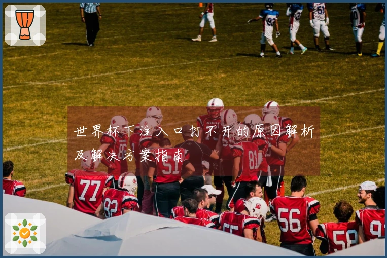 世界杯下注入口打不开的原因解析及解决方案指南