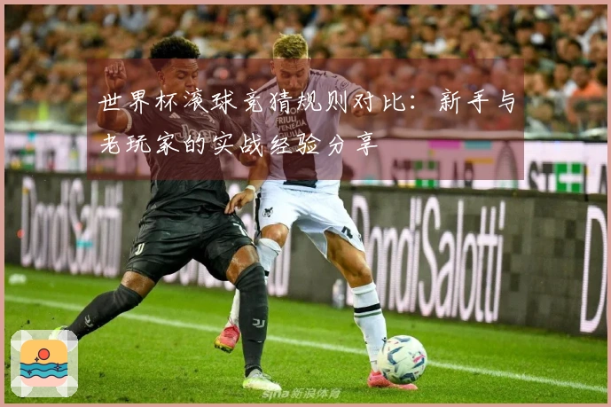 世界杯滚球竞猜规则对比：新手与老玩家的实战经验分享