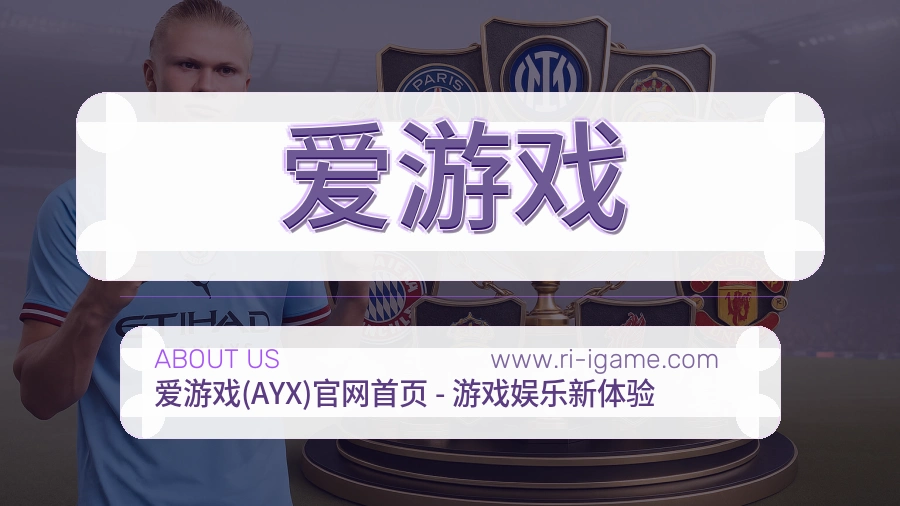 关于 爱游戏